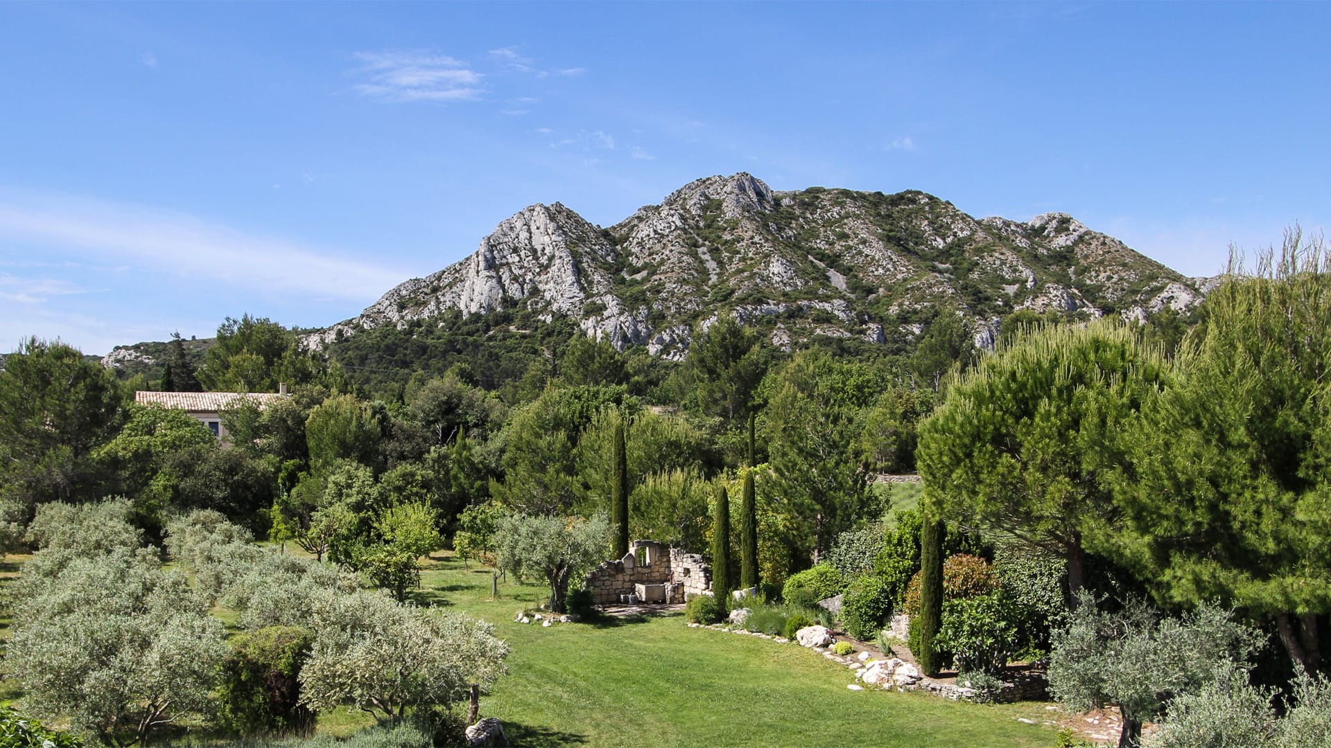 Paysage des Alpilles avec une végétation méditerranéenne verdoyante et des montagnes rocheuses sous un ciel bleu clair.